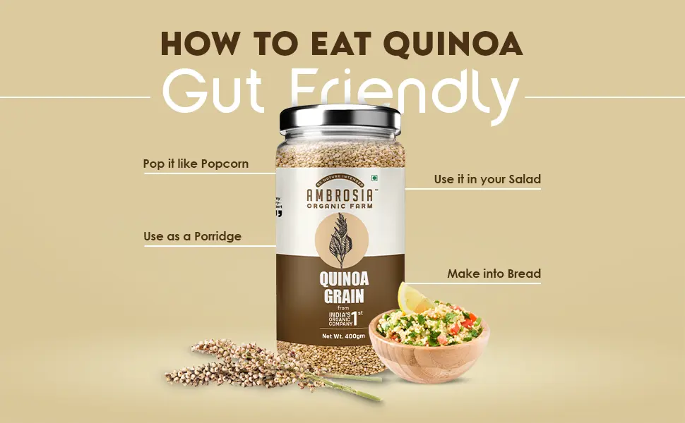 quinoa grain 2