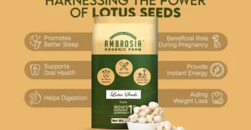 How to Cook Lotus Seeds (Makhana)?