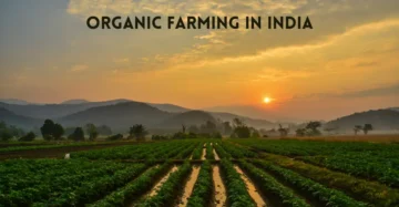 6 State Organic Farming In india.