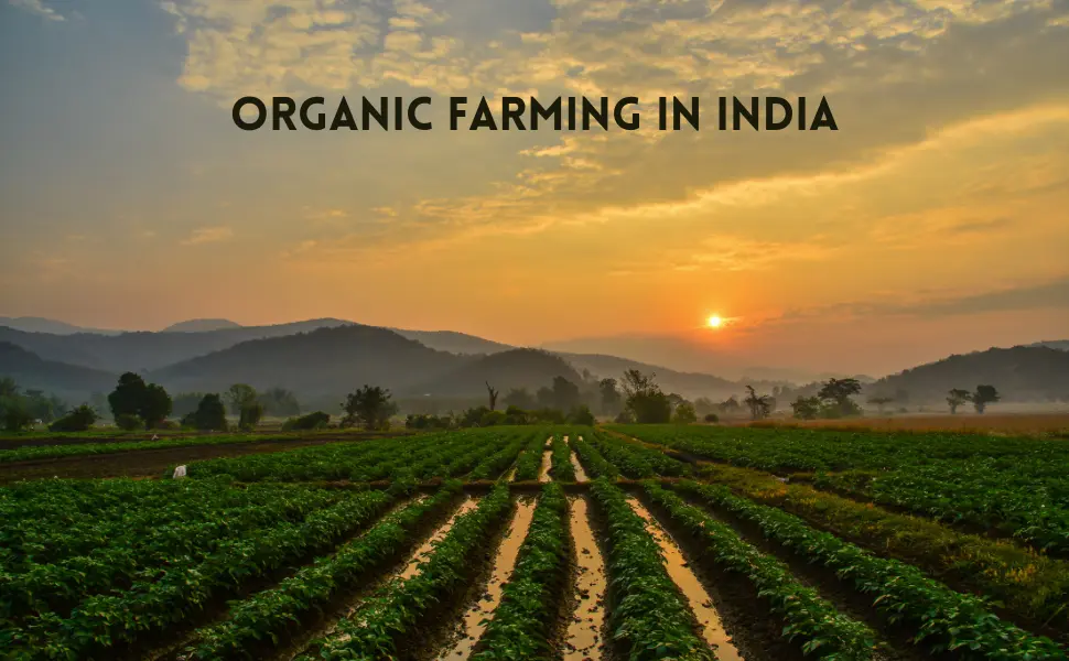 6 State Organic Farming In india.