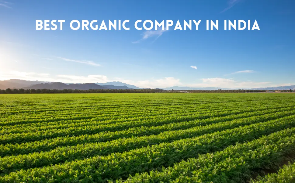 Best Organic Company in India