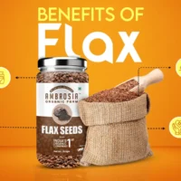 flax-seeds-2.webp
